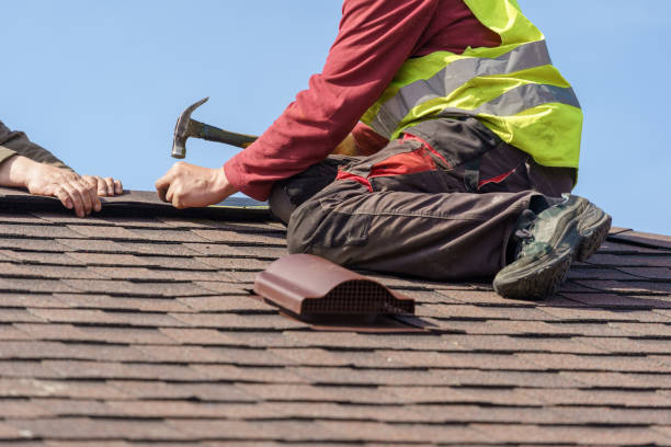 Best Shingle Roofing Installation  in St Paul Park, MN
