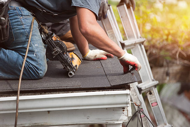 Best Flat Roof Repair Services  in St Paul Park, MN